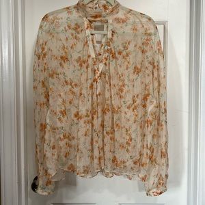 Zara Sheer Baby Doll Blouse